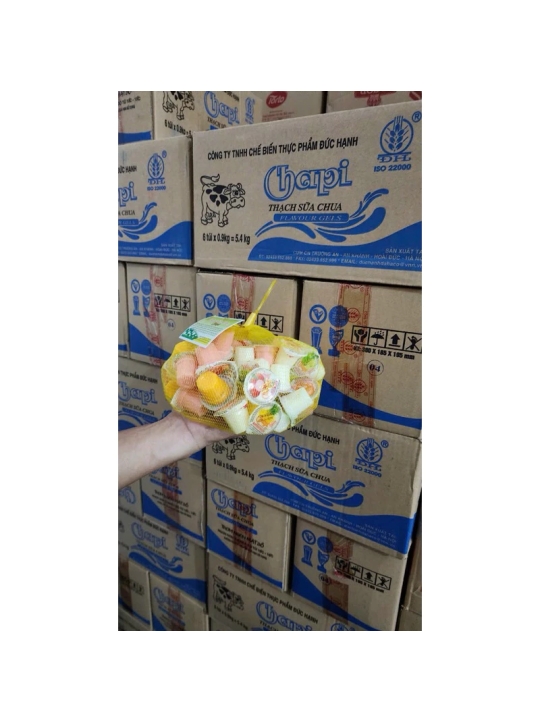 [ TÚI 900gr ] THẠCH SỮA CHUA HƯƠNG TRÁI CÂY - ĐỨC HẠNH