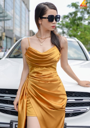 Đầm Thiết Kế Zaki A368